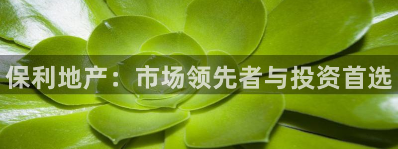 新宝5娱乐平台