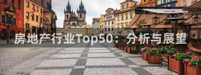 新宝5娱乐登录：房地产行业Top50：分析与展望
