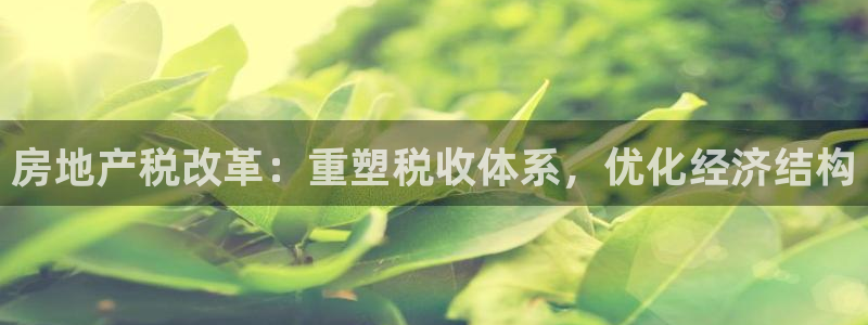新宝5登录网址：房地产税改革：重塑税收体系，优化经济结构