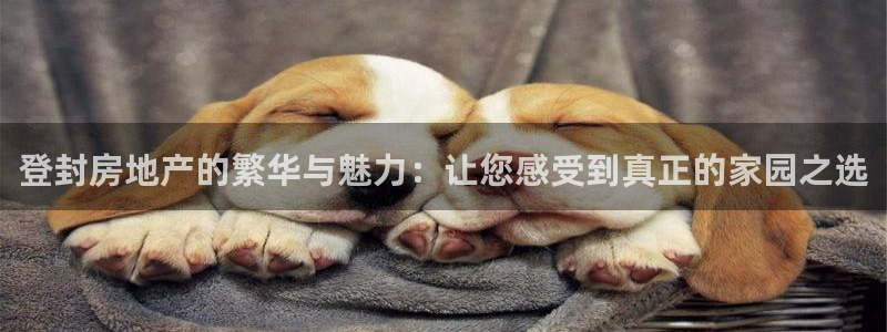 新宝5日