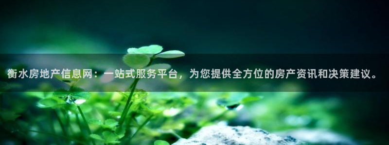 新宝5平台登录下载软件：衡水房地产信息网：一站式服务平台，为