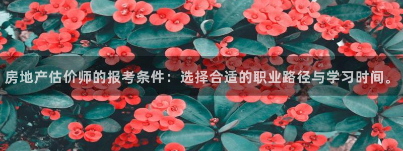 新宝5安卓版：房地产估价师的报考条件：选择合适的职业路径与学