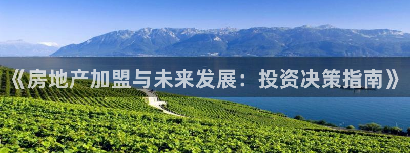 新宝5平台登录：《房地产加盟与未来发展：投资决策指南》