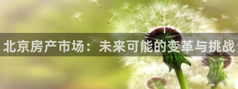 新宝5注册测速登录：北京房产市场：未来可能的变革与挑战
