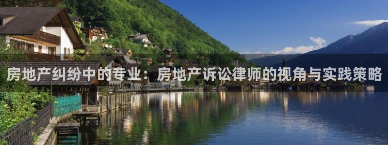 新宝5娱乐登录：房地产纠纷中的专业：房地产诉讼律师的视角与实