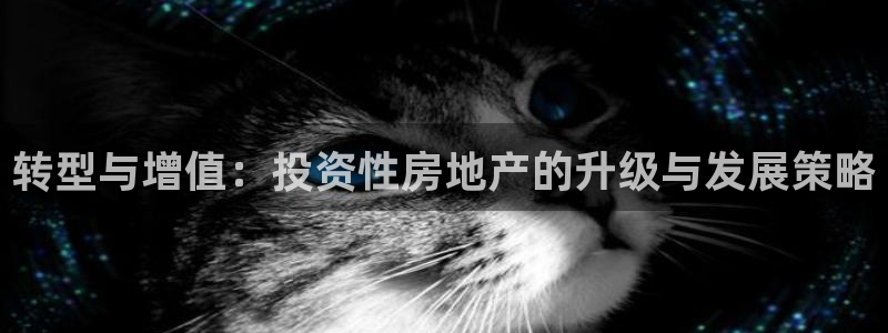 新宝5源码：转型与增值：投资性房地产的升级与发展策略