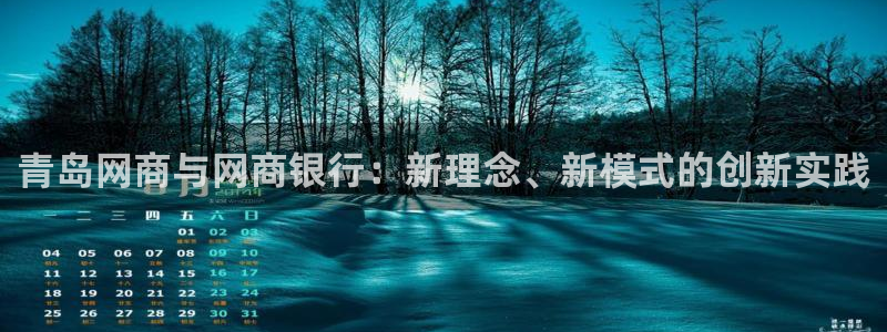新宝5源码：青岛网商与网商银行：新理念、新模式的创新实践