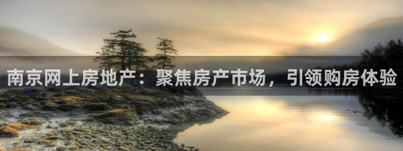 新宝5app：南京网上房地产：聚焦房产市场，引领购房体验
