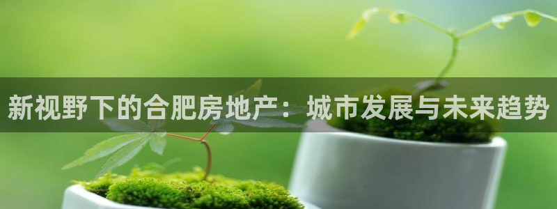 新宝股东张听2 5 5