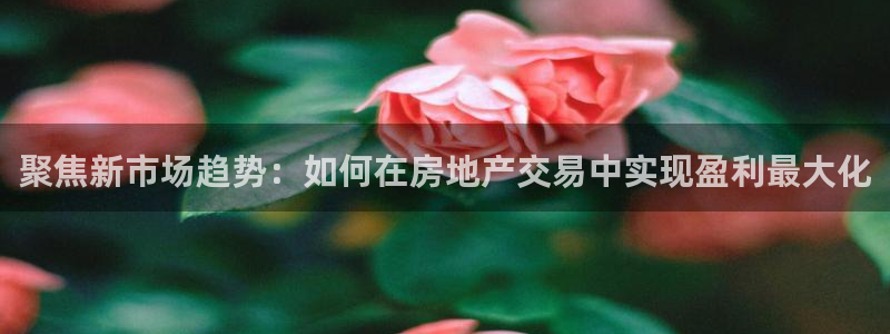 新宝5测登录：聚焦新市场趋势：如何在房地产交易中实现盈利最大