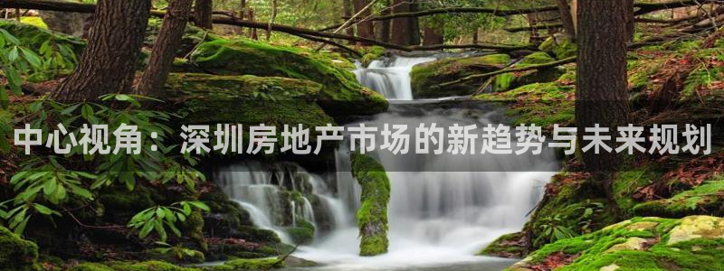 新宝5软件下载：中心视角：深圳房地产市场的新趋势与未来规划
