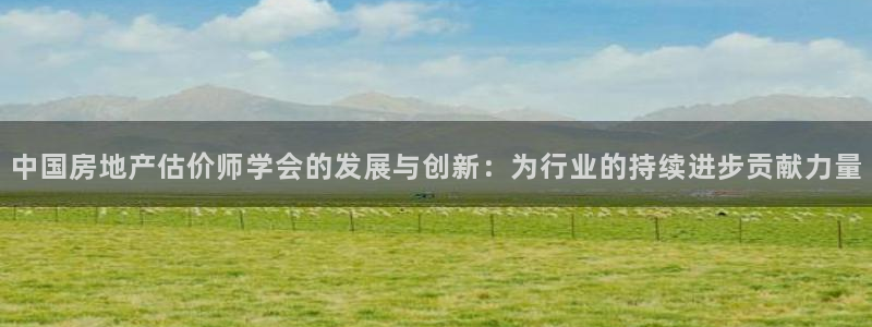 5新宝：中国房地产估价师学会的发展与创新：为行业的持续进步贡