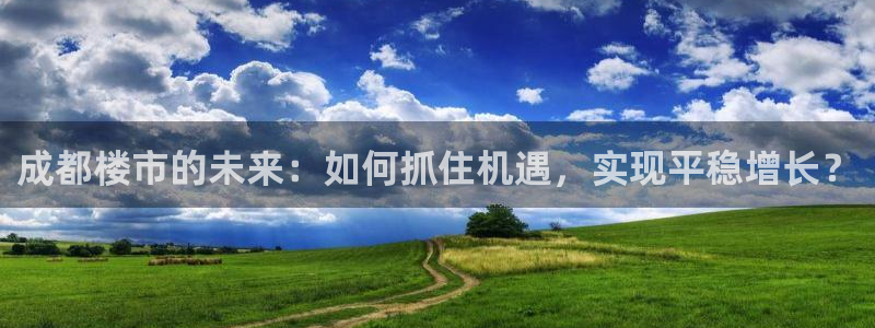 新宝5彩票平台登陆：成都楼市的未来：如何抓住机遇，实现平稳增