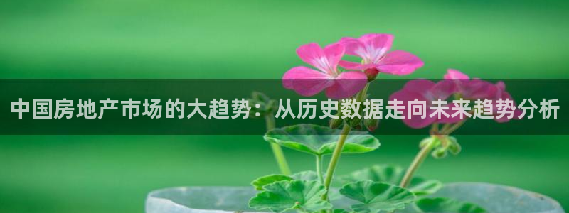 新宝5代理