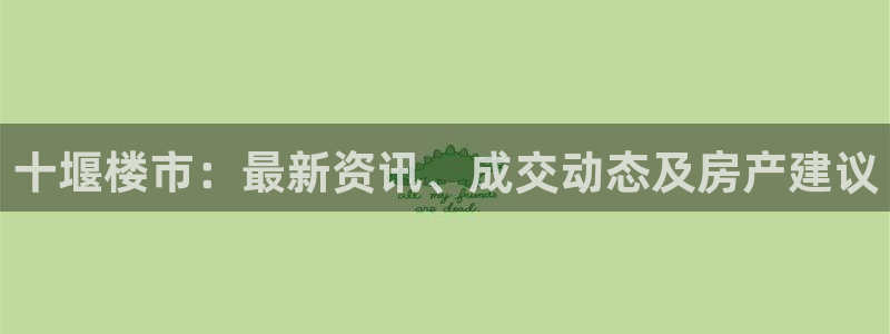 新宝5户端