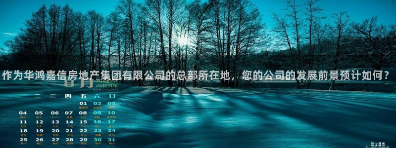 新宝5蒋74OOO5：作为华鸿嘉信房地产集团有限公司的总部所