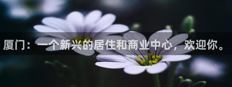 新宝_5：厦门：一个新兴的居住和商业中心，欢迎你。