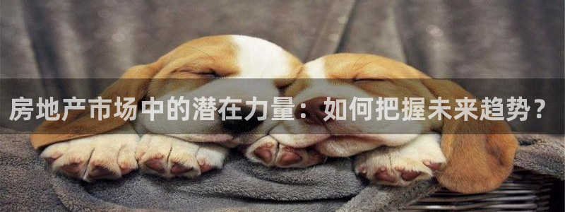 新宝5注册霸：房地产市场中的潜在力量：如何把握未来趋势？