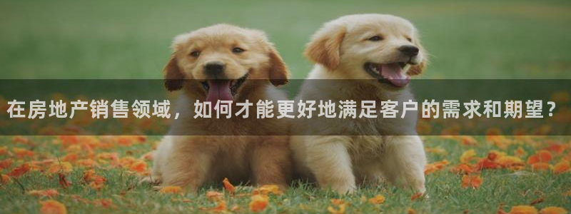 新宝5登录地址：在房地产销售领域，如何才能更好地满足客户的需