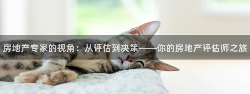 新宝5娱乐方：房地产专家的视角：从评估到决策——你的房地产评