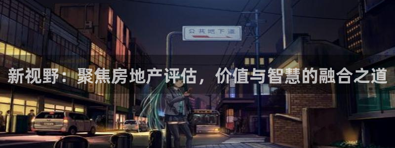 新宝集团新宝5：新视野：聚焦房地产评估，价值与智慧的融合之道