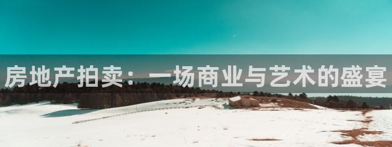 新5宝