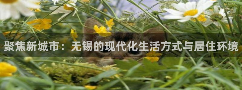 新宝5娱乐登录：聚焦新城市：无锡的现代化生活方式与居住环境