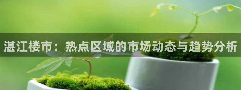 下载新宝5：湛江楼市：热点区域的市场动态与趋势分析