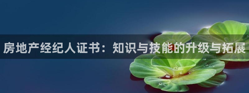 新宝5巅峰：房地产经纪人证书：知识与技能的升级与拓展