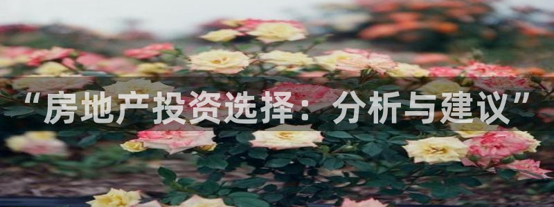 新宝奇迹GG5：“房地产投资选择：分析与建议”