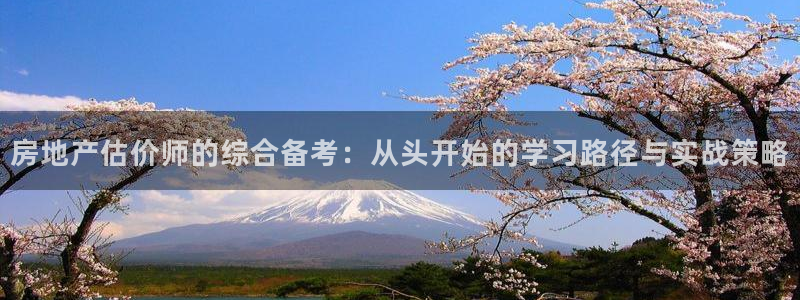 新宝娱乐5：房地产估价师的综合备考：从头开始的学习路径与实战