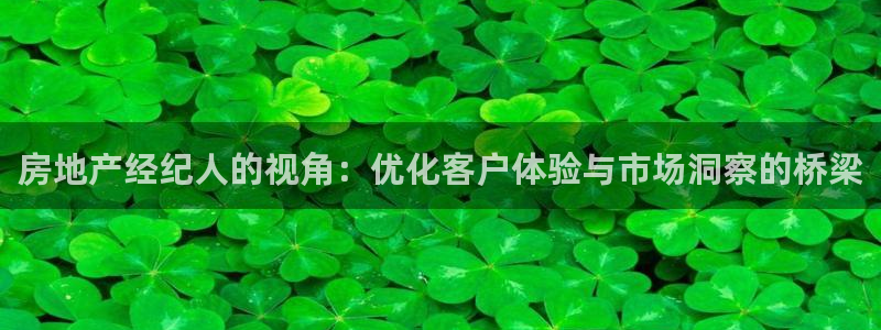新宝5登录测速中心：房地产经纪人的视角：优化客户体验与市场洞