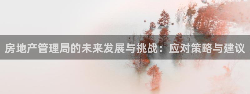 新5宝：房地产管理局的未来发展与挑战：应对策略与建议