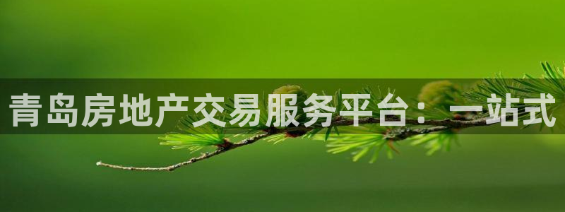 新宝5分彩：青岛房地产交易服务平台：一站式
