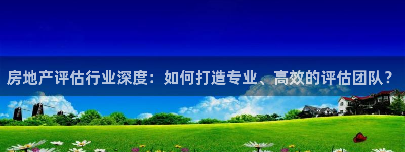 新宝5黑：房地产评估行业深度：如何打造专业、高效的评估团队？