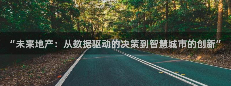 新宝rm5：“未来地产：从数据驱动的决策到智慧城市的创新”