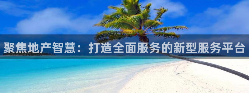新宝5手机下载：聚焦地产智慧：打造全面服务的新型服务平台