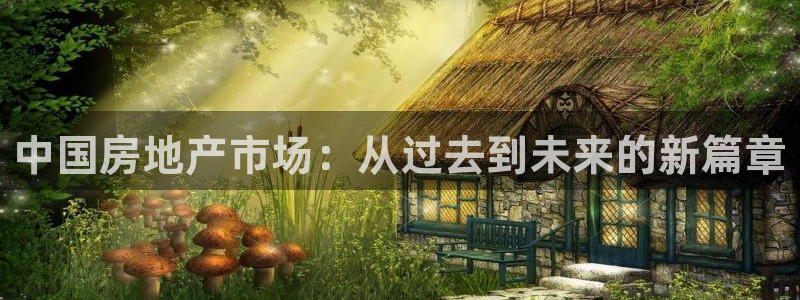 菲律宾新宝5老板：中国房地产市场：从过去到未来的新篇章