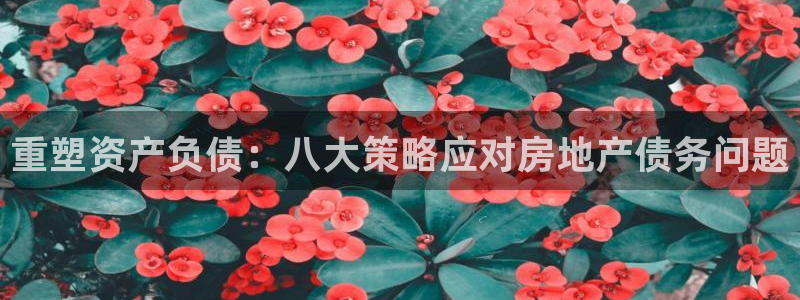 新宝5日谢29999：重塑资产负债：八大策略应对房地产债务问