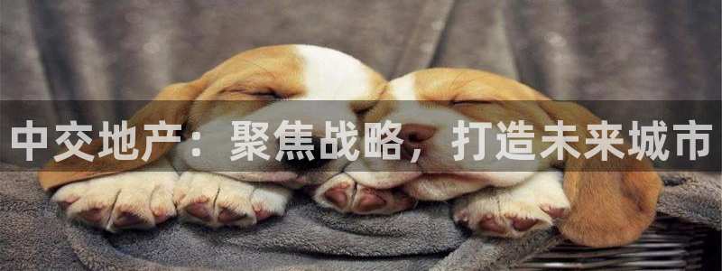 新宝5骗术：中交地产：聚焦战略，打造未来城市