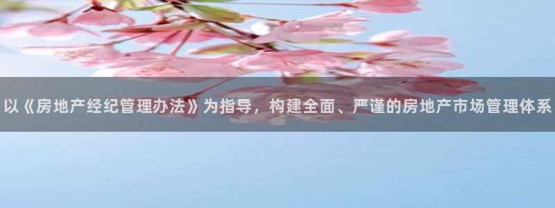下载新宝5