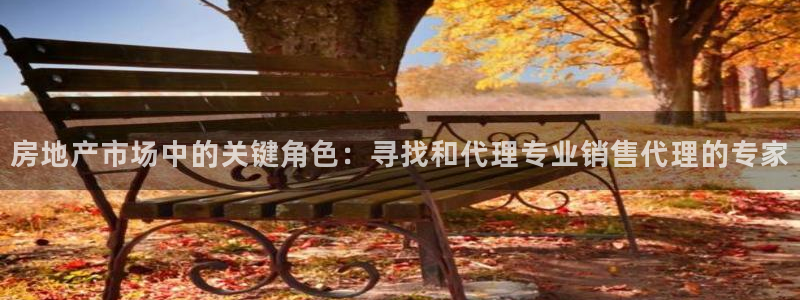 2022新宝骏rs 5：房地产市场中的关键角色：寻找和代理专
