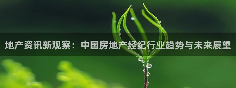 新宝5娱乐招商