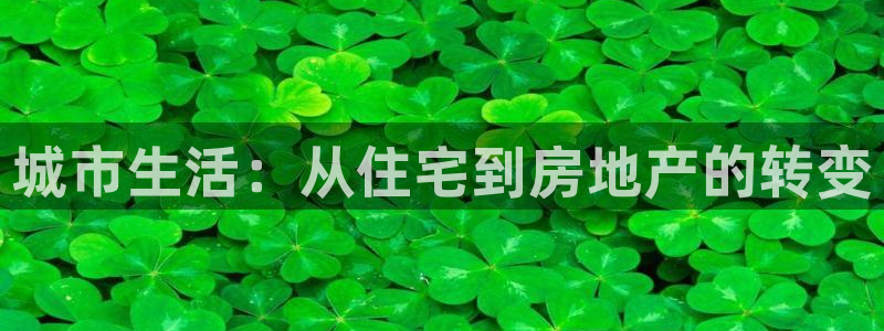 新宝5 - 测速登陆