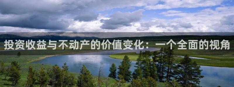 新5宝：投资收益与不动产的价值变化：一个全面的视角