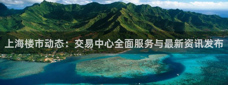 新宝股东王听2 5 5：上海楼市动态：交易中心全面服务与最新