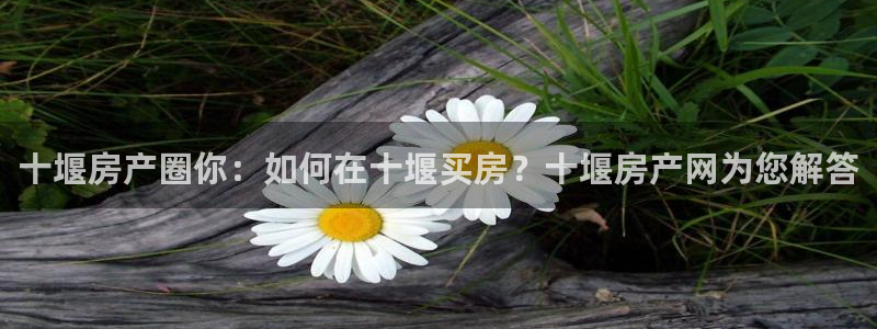 新宝5娱乐：十堰房产圈你：如何在十堰买房？十堰房产网为您解答