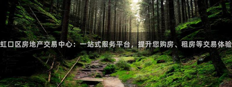 新宝5登录平台：虹口区房地产交易中心：一站式服务平台，提升您