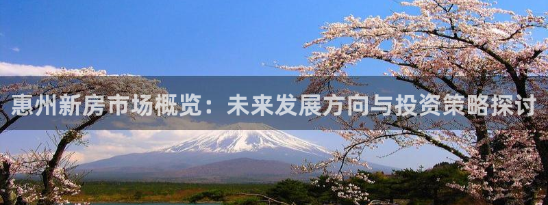 新宝5主管：惠州新房市场概览：未来发展方向与投资策略探讨