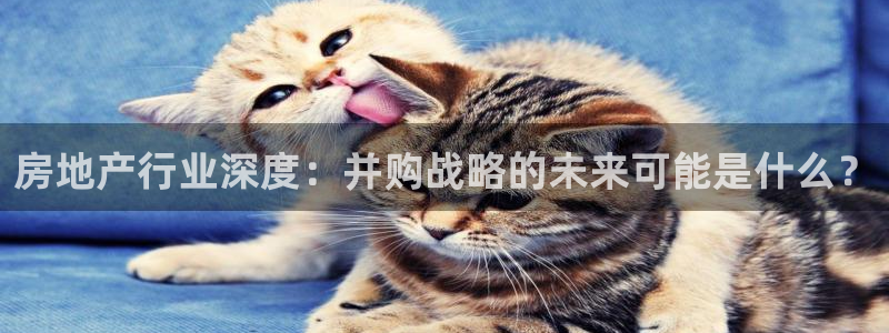 新宝5 - 测速登陆：房地产行业深度：并购战略的未来可能是什